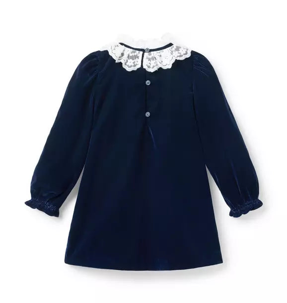 The Velvet Lace Collar Dress