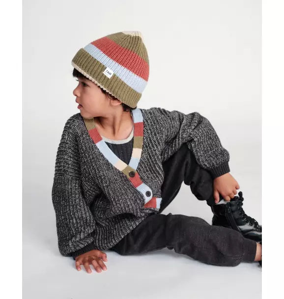 Beanie Stripe Chunky - Olive Multicolor Stripe
