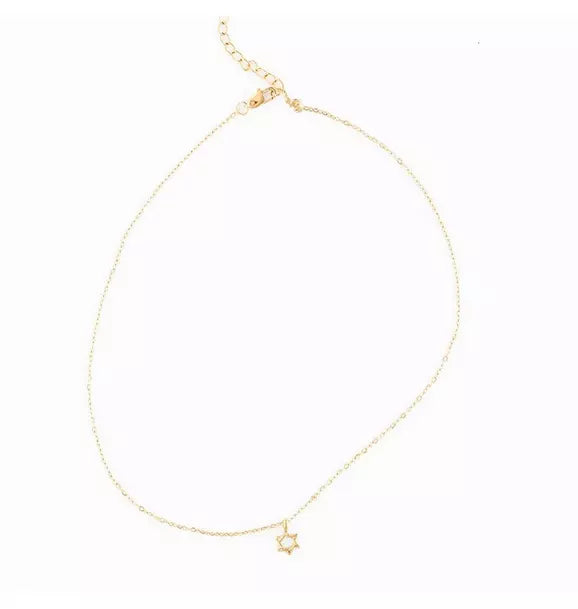 Star Of David Pendant Necklace