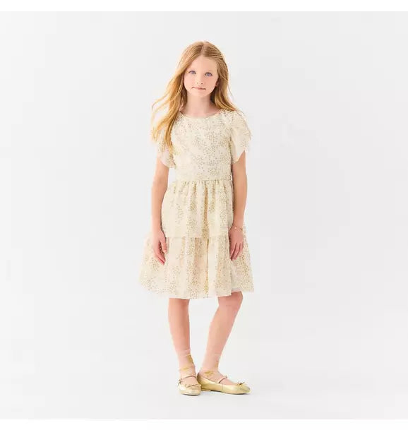 American Girl® x Janie and Jack Celebration Dress