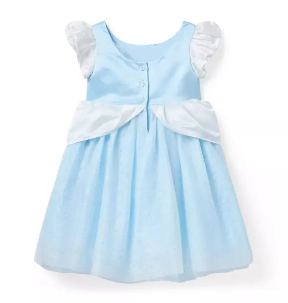 Disney Cinderella Dress