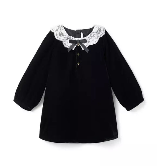 The Velvet Lace Collar Dress