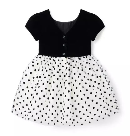 The Velvet Dot Dress