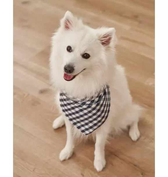 Light Blue Gingham Dog Bandana