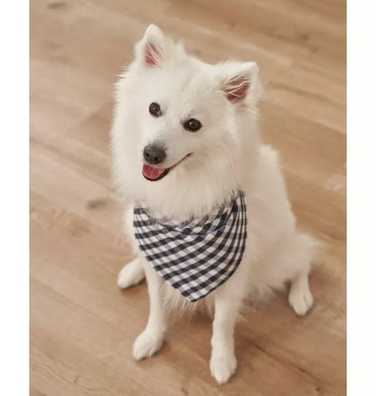 Light Blue Gingham Dog Bandana