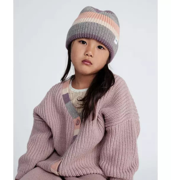 Beanie Stripe Chunky - Ash Rose Multicolor Stripe