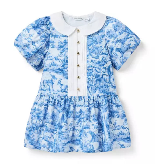 The Art of Toile Dress