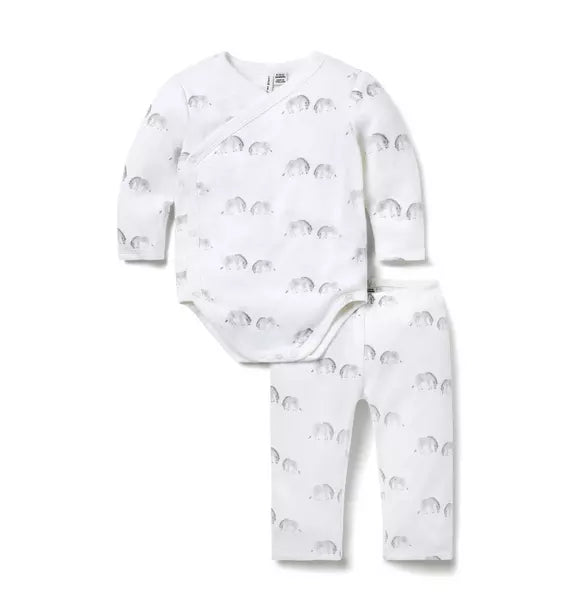 Baby Zebra Wrap Matching Set