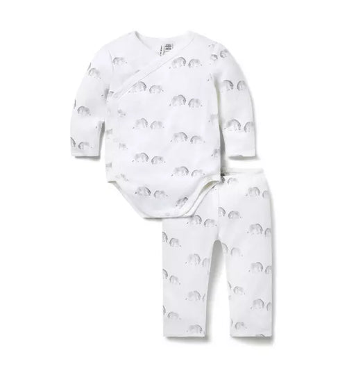 Baby Zebra Wrap Matching Set