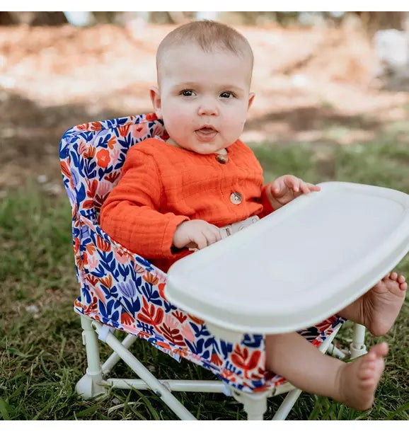 Willow Portable Booster Chair