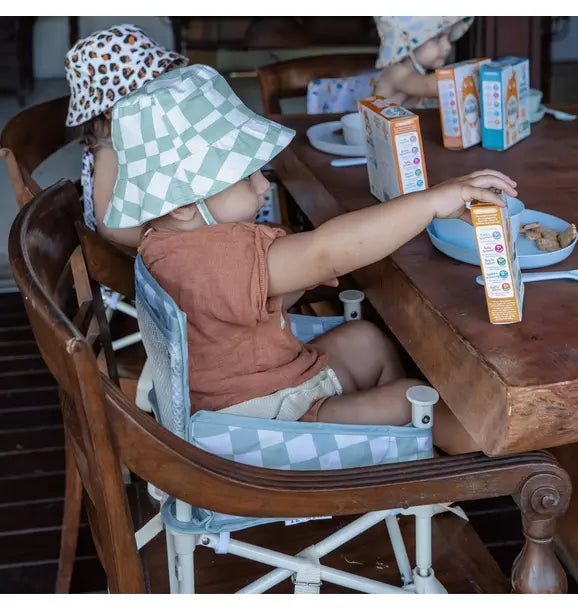 Parker Portable Booster Chair