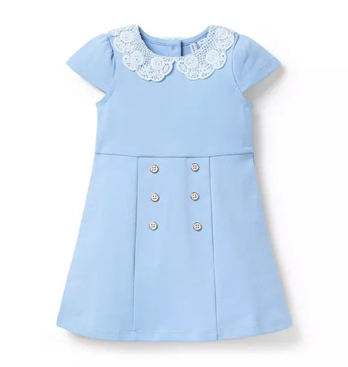 Lace Collar Ponte Dress