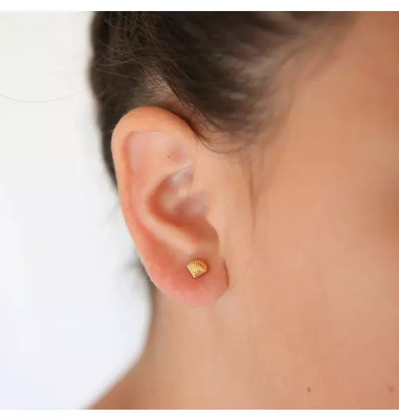 Seashell Stud Earrings
