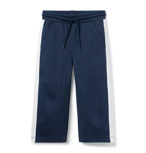 The Stripe Wide Leg Ponte Pant