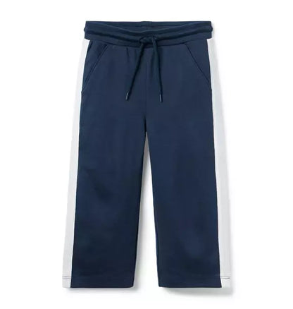 The Stripe Wide Leg Ponte Pant