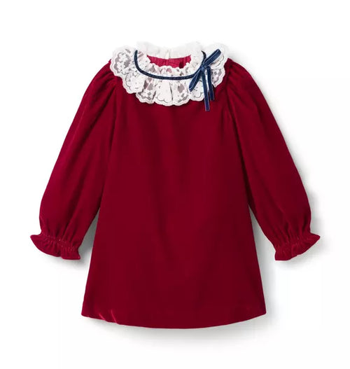 The Velvet Lace Collar Dress