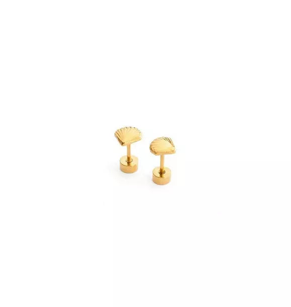 Seashell Stud Earrings
