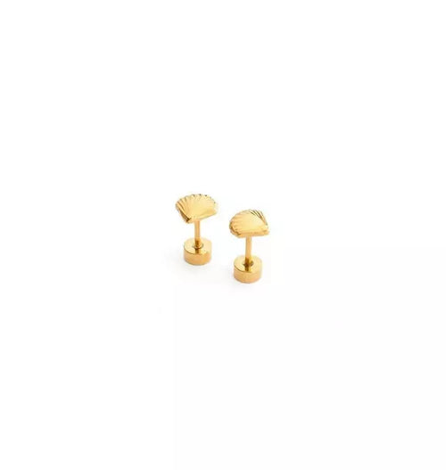 Seashell Stud Earrings