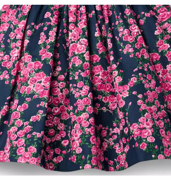 American Girl® x Janie and Jack Rosy Party Dress