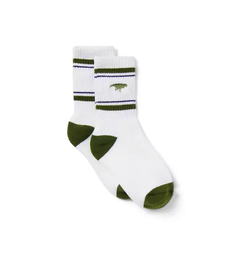 Dinosaur Crew Sock