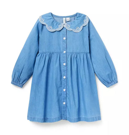 Chambray Embroidered Collar Dress