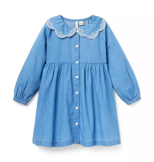 Chambray Embroidered Collar Dress