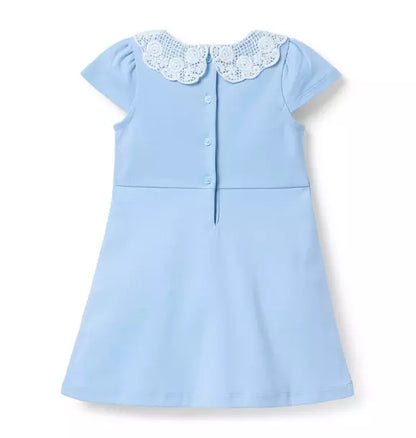 Lace Collar Ponte Dress