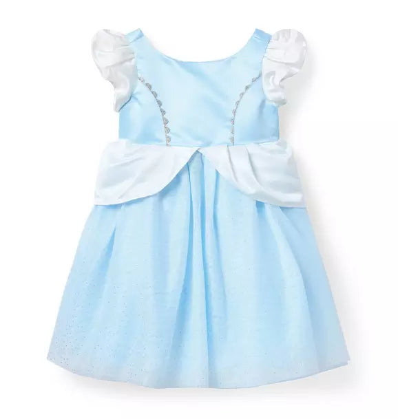 Disney Cinderella Dress