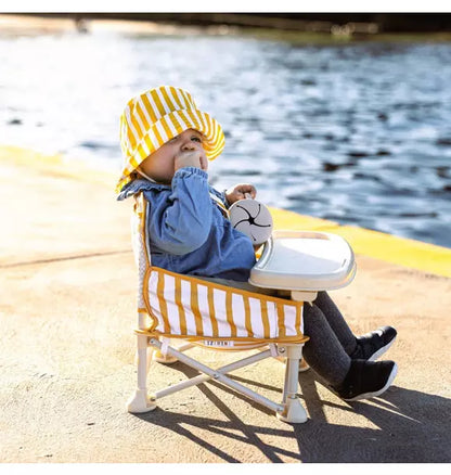 Brighton Portable Booster Chair