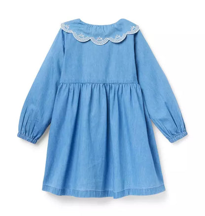 Chambray Embroidered Collar Dress