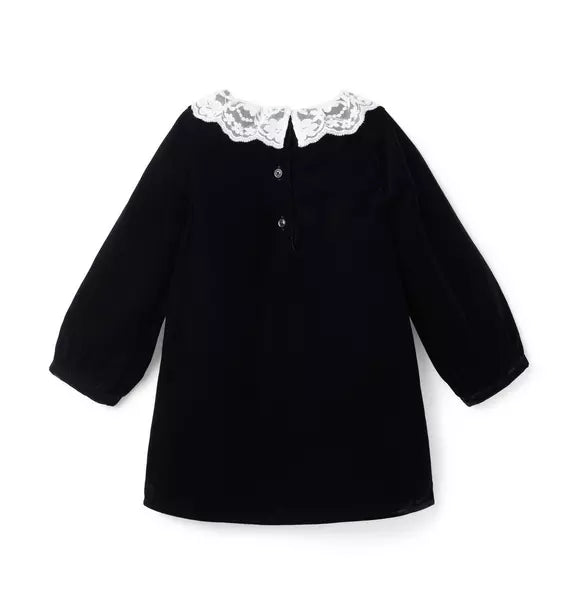The Velvet Lace Collar Dress